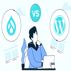 Drupal vs Wordpress: What is the best the Choice for me?